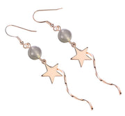 フックピアス レディース アクセサリー ロング 耳飾り 揺れる 星型 綺麗 おしゃれ 可愛い 外出 お出掛け デート ギフト 記念日 誕生日 贈り物 プレゼント パーティー ファッション小物 ロングピアス
