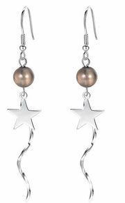 フックピアス レディース アクセサリー ロング 耳飾り 揺れる 星型 綺麗 おしゃれ 可愛い 外出 お出掛け デート ギフト 記念日 誕生日 贈り物 プレゼント パーティー ファッション小物 ロングピアス