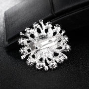 ブローチ ピンブローチ レディース 女性 アクセサリー 雪の結晶 ラインストーン キラキラ 華やか おしゃれ 大人可愛い お出かけ セレモニー フォーマル ギフト プレゼント 婦人用 ファッション小物