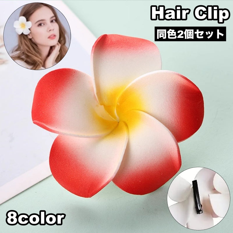 ヘアクリップ 2個セット レディース 女性 ヘアアクセサリー ヘアアレンジ 商品画像