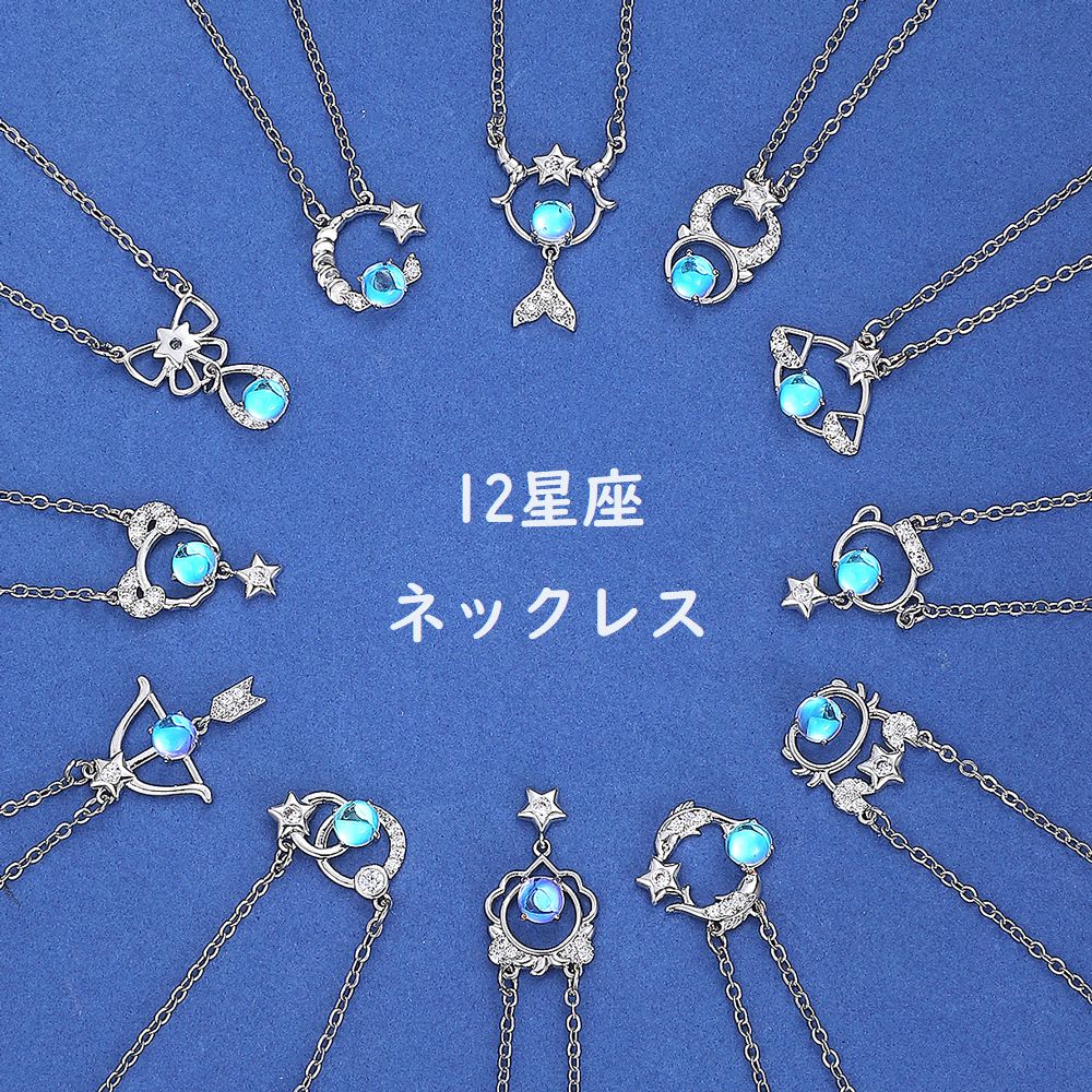 12星座ネックレス レディース アクセサリー 星座 ペンダント シルバーカラー 商品画像