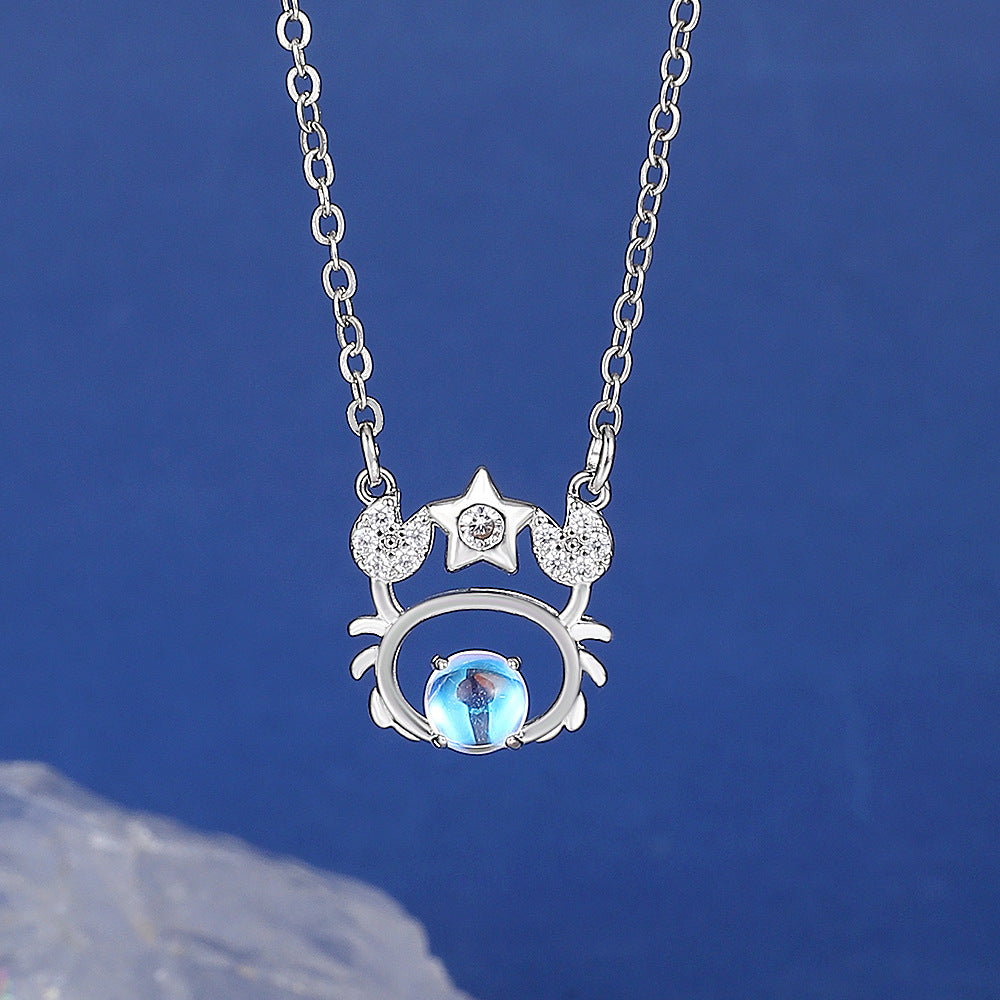 12星座ネックレス レディース アクセサリー 星座 ペンダント シルバーカラー 商品画像5