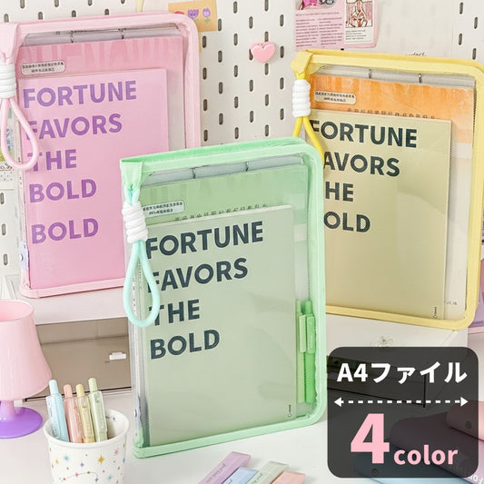 ドキュメントファイル 書類ファイル 書類ケース クリアケース クリアファイル 文房具 商品画像