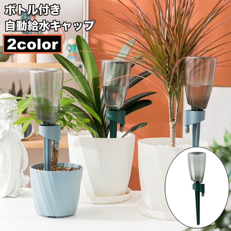 自動給水キャップ 自動水やり器 ボトル付き ペットボトル対応 植木鉢 植物 室内 自動散水用具 ガーデニング用品 水切れ対策 園芸 観葉植物 ガーデニング 家庭菜園 シンプル 旅行 留守 出張