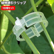 園芸用クリップ 誘引クリップ 100個入り ワンタッチクリップ 園芸用品 支柱用部品 支柱用アクセサリー ガーデニング 家庭菜園 農業用 野菜 つる 接ぎ木