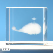 クリスタルガラスキューブ 3Dレーザー 刻印 立方体 キューブ型 置き物 オブジェ インテリア雑貨 装飾 飾り モダン おしゃれ 室内 ギフト プレゼント