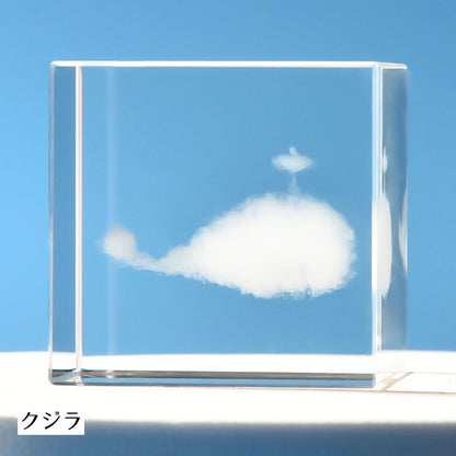 クリスタルガラスキューブ 3Dレーザー 刻印 立方体 キューブ型 置き物 商品画像2