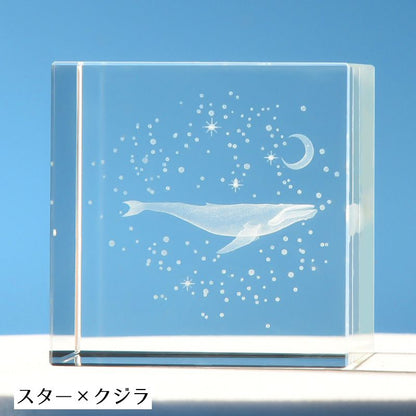 クリスタルガラスキューブ 3Dレーザー 刻印 立方体 キューブ型 置き物 商品画像5