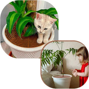 植木鉢カバー 植木鉢グリッド プランターカバー プランターガード 保護 犬猫対策 いたずら防止 通気性 転倒防止 園芸用品 屋外 屋内 室内 土堀り防止