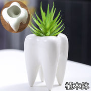 植木鉢 フラワーポット プランター 歯型 サボテン ミニ盆栽 ガーデニング 園芸用品 観葉植物用 可愛い おしゃれ インテリア雑貨 ユニーク 室内 屋外