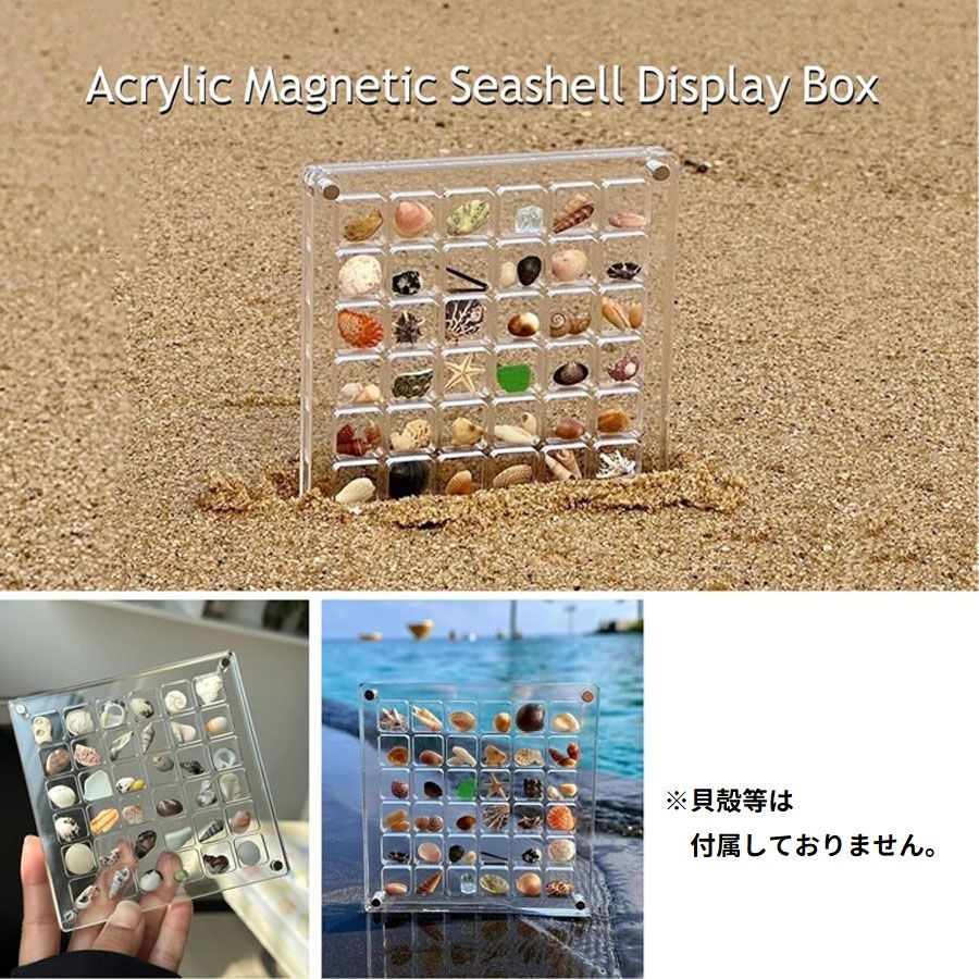 コレクションケース 貝殻 石 ディスプレイ 展示 6段 商品画像3