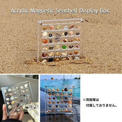 コレクションケース 貝殻 石 ディスプレイ 展示 6段 商品画像3