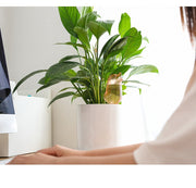 自動給水器 自動水やり器 オート水やり器 自動給水装置 植木 鉢植え ガーデニング 植物 園芸 盆栽 刺すだけ 鳥 バード かわいい おしゃれ 便利 給水タンク 野菜 ピンク ブルー