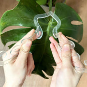 トレリス 植物支柱 園芸支柱 つる性植物用 単品 1個 植物 花 園芸 ガーデニング用品 観葉植物 植木鉢 誘引 サポート 簡単 設置 クリア 透明 リーフ型 お洒落