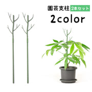 園芸支柱 2本セット 70cm 支柱 観葉植物 花ささえ 花支柱 花支え ガーデニング用品 園芸用資材 固定 農業用 家庭菜園 散乱予防 転倒予防 組み立て簡単 差込むだけ ナチュラル 単色 目立ちにくい シンプル 果物 野菜 花 多肉植物 広がり防止 鉢植え