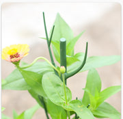 園芸支柱 2本セット 70cm 支柱 観葉植物 花ささえ 花支柱 花支え ガーデニング用品 園芸用資材 固定 農業用 家庭菜園 散乱予防 転倒予防 組み立て簡単 差込むだけ ナチュラル 単色 目立ちにくい シンプル 果物 野菜 花 多肉植物 広がり防止 鉢植え