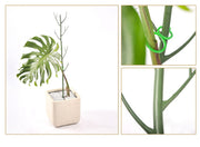 園芸支柱 2本セット 70cm 支柱 観葉植物 花ささえ 花支柱 花支え ガーデニング用品 園芸用資材 固定 農業用 家庭菜園 散乱予防 転倒予防 組み立て簡単 差込むだけ ナチュラル 単色 目立ちにくい シンプル 果物 野菜 花 多肉植物 広がり防止 鉢植え