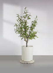 植木鉢台 単品 1個 直径25cm 28.5cm 32cm キャスター付き 貯水トレイ付き プランタースタンド 鉢台 鉢置き 鉢受台 鉢皿 鉢植え台 鉢置台 受け皿 水受け 円形 丸型 ラウンド サークル 貯蔵 貯水 排水 台車 丈夫 耐久性 厚目 分厚い 簡単お手入れ 便利 移動可能