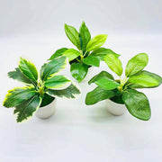 フェイクグリーン 造花 人工観葉植物 観葉植物 鉢植え 小型 枯れない 緑 葉っぱ インテリア 室内 イミテーション 卓上 おしゃれ