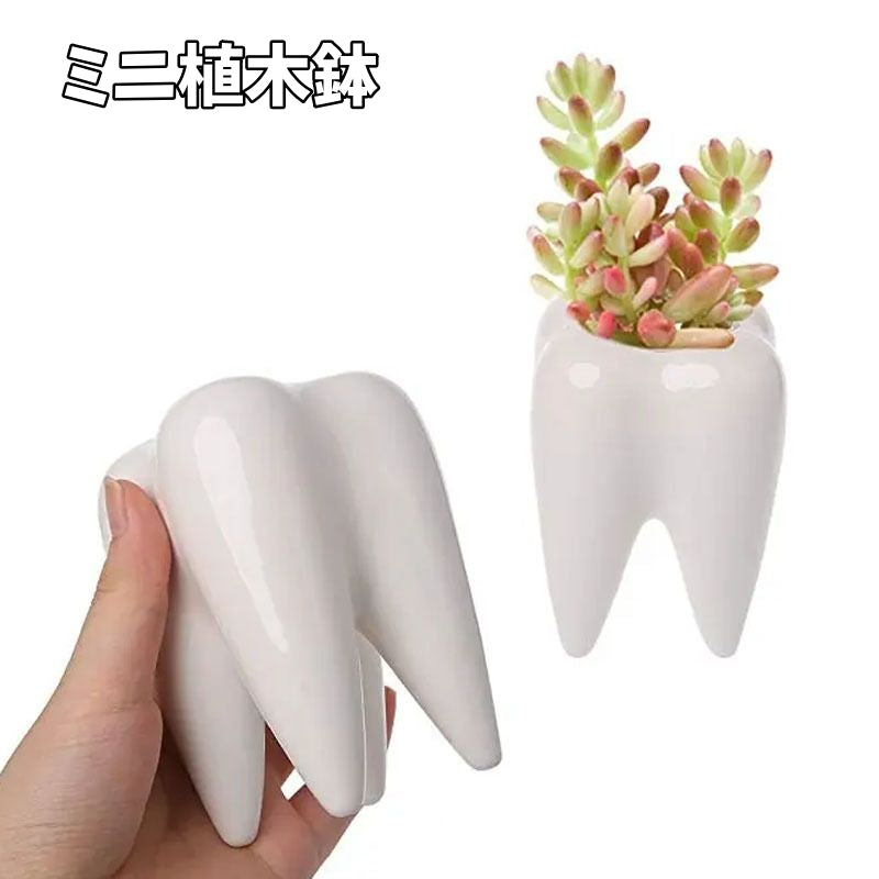 植木鉢 フラワーポット 多肉植物 陶器 歯 プランター 盆栽 観葉植物 寄せ植え 鉢植え ミニ コンパクト サボテン 園芸用品 ガーデニング 卓上 屋内 屋外 かわいい おしゃれ ペン立て インテリア雑貨