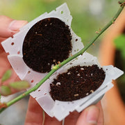 発根ボックス 5個セット 取り木ボール 植物 繁殖 株分け 発根装置 簡単取付け ガーデニング 園芸用品 根成長 挿し木