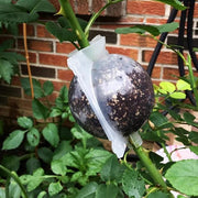 発根ボックス 5個セット 取り木ボール 植物 繁殖 株分け 発根装置 簡単取付け ガーデニング 園芸用品 根成長 挿し木