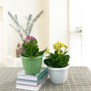 植木鉢 フラワーポット 観葉植物鉢 プランター フック付き フック無し プラスチック製 卓上 園芸 ガーデニング