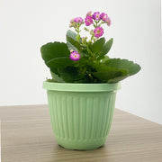 植木鉢 フラワーポット 観葉植物鉢 プランター フック付き フック無し プラスチック製 卓上 園芸 ガーデニング
