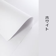 撮影用バックペーパー 背景シート 厚手 写真撮影用 商品撮影 カメラアクセサリー 小物 敷物 単色 シンプル ブログ用 生誕記念撮影 カラバリ豊富