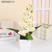 造花 胡蝶蘭 コチョウラン ラン 花 植物 ミニポット ミニ鉢植え イミテーション フェイクフラワー 卓上 リビング インテリア オシャレ 綺麗 母の日