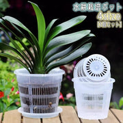 水耕栽培ポット 3個セット 育苗ポット 植木鉢 育苗資材 ガーデニング用品 メッシュ キット 観葉植物 野菜 植物育成カップ 給水栽培 園芸 通気性