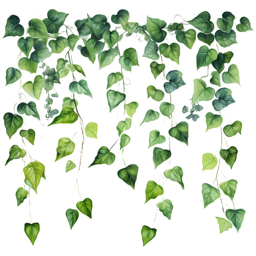 ウォールステッカー 壁ステッカー インテリア 装飾 植物 蔦 アイビー つる つた 葉っぱ 葉 北欧風 リーフ リアル シール式 デコレーション 飾り付け 模様替え 部屋 おしゃれ ナチュラル シンプル 壁デコ 壁シール DIY リビング キッチン
