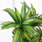 フェイクグリーン 人工観葉植物 造花 1本 単品 緑 リーフ 葉っぱ ドラセナ風 装飾 飾り インテリア小物 枯れない リビング 玄関 トイレ 洗面所 寝室 ガーデン 庭 おしゃれ ナチュラル かわいい