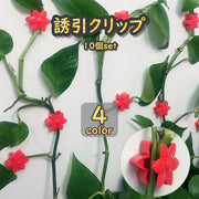 誘引クリップ 10個セット 園芸クリップ 固定クリップ 壁掛け 両面テープ 花 農業 園芸 ガーデニング 接木 結束 バンド 固定 つる 野菜 便利 お洒落 可愛い インテリア 観葉植物 室内 屋内 壁貼り付け