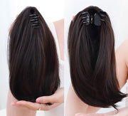 ポイントウィッグ ヘアウィッグ 部分ウィッグ つけ毛 レディース 女性 ポニーテール クリップ式 挟むだけ ロングヘア ストレート イメチェン 可愛い おしゃれ コスプレ