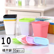 植木鉢 フラワーポット プラ鉢 10個セット 7cm 角型 無地 排水 受け皿付き 多肉用 多肉植物 プラスチック 軽量 四角 スクエア かわいい シンプル 室内 屋外 観葉植物 ガーデニング 園芸用品 インテリア雑貨 単色 白 黒 紫 緑 黄 ピンク 青 クリア