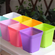 植木鉢 フラワーポット プラ鉢 10個セット 7cm 角型 無地 排水 受け皿付き 多肉用 多肉植物 プラスチック 軽量 四角 スクエア かわいい シンプル 室内 屋外 観葉植物 ガーデニング 園芸用品 インテリア雑貨 単色 白 黒 紫 緑 黄 ピンク 青 クリア
