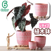 植木鉢 鉢植え プランター フラワーポット 陶器 16cm 園芸用品 排水穴 底穴 通気性 赤い陶 陶土 ガーデニング 多肉植物 インテリア 素焼き調 レトロな植木鉢 幾何学模様 レトロ調 おしゃれ かわいい