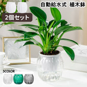 植木鉢 2個セット 自動給水式 貯水槽付き フラワーポット プランター 多肉植物 観葉植物 屋内 オフィス 卓上 プラントポット 簡単 便利 おしゃれ かわいい インテリア