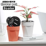 植木鉢 フラワーポット 水耕栽培 自動給水 貯水槽付き 水やり簡単 観葉植物 多肉植物 園芸 ガーデニング 屋内 竹 節 かわいい おしゃれ シンプル