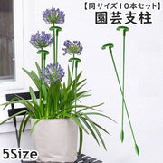 園芸支柱 同サイズ10本セット 17cm 27cm 37cm 48cm 58cm 観葉植物 園芸 誘引 サポート 支え 簡単 設置 固定 転倒予防 植木鉢 ガーデニング用品