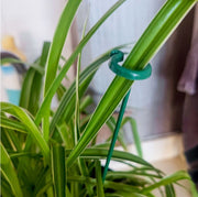 園芸支柱 同サイズ10本セット 17cm 27cm 37cm 48cm 58cm 観葉植物 園芸 誘引 サポート 支え 簡単 設置 固定 転倒予防 植木鉢 ガーデニング用品