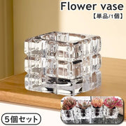 花瓶 フラワーポット フラワーベース 5個セット 多肉植物用 ガラス ミニサイズ 小型 花器 クリア 透明 インテリア 陶器 スクエア 四角形 正方形 かわいい おしゃれ 観葉植物 グリーン 花 フラワー