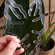 園芸用支柱サポートプレート 支柱ホルダー 固定 支柱用部品 つる植物用 リーフ型 葉っぱ型 クリア 透明 ガーデニング用品 園芸用品 家庭菜園 野菜 花