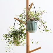 ハンギングプランター 植木鉢 吊るす 吊り下げ 多肉植物 ミニサイズ 花 グリーン 観葉植物 ストライプ 小型 シンプル かわいい おしゃれ インテリア 装飾 室内 室外 屋外 屋内