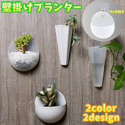 壁掛けプランター ミニプランター 単品 植木鉢 ウォールフック付き 観葉植物 水耕栽培 サボテン 室内 おしゃれ かわいい 小さめ