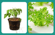 水耕栽培ポット 育苗ポット 20個組 植木鉢 植物育成カップ メッシュ 花 観葉植物 野菜 ガーデニング 給水栽培 園芸 通気性