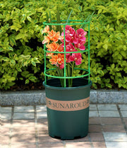 園芸用支柱 リング支柱 組み立て式 2段 植木鉢用 花 観葉植物 ガーデニング 円柱型 フラワー 支柱 花支え サポート フレーム 簡単取付 再利用 つる 野菜 植物 栽培 家庭菜園 植物サポート 高さ調節可能