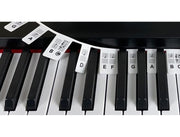 ピアノ鍵盤シール 88鍵盤 61鍵盤 キーボード 音階ガイド 音符 五線譜 レッスン 練習 初心者 子ども ビギナー 貼り付け不要 シリコン トレーニング おしゃれ