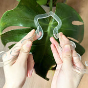 園芸支柱 フラワースタンド 透明 クリア 植木鉢 観葉植物 花 フラワー 誘引 サポート 支え 固定 転倒 予防 防止 簡単 設置 金属製 ガーデニング用品 園芸用品